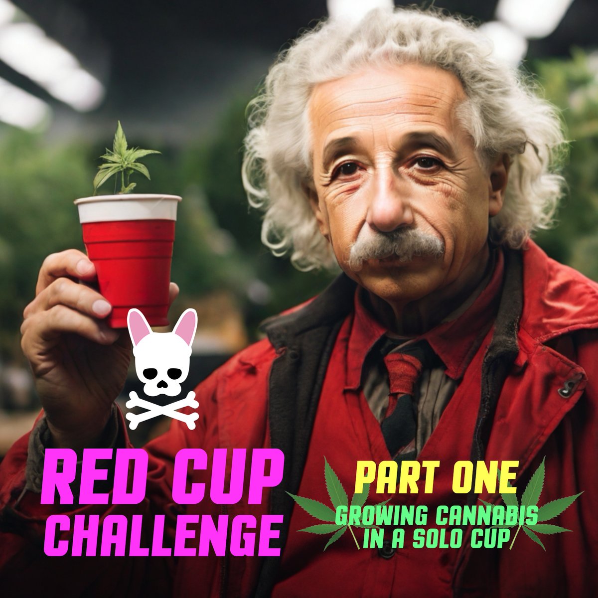 Einstein says It's 'BRAIN SCIENCE!!!' or 'ROCKET SURGERY'  😂 Growing AK-47 in a Cup - Red Solo Cup Challenge accepted Part 1 of 2 👉youtu.be/JFG8EMoGEVs 👈 #weed #marijuana #cannabis #seeds #redcupchallenge #solocup #thc #cbd #sativa #indica #terpenes #autoflower #Growmies