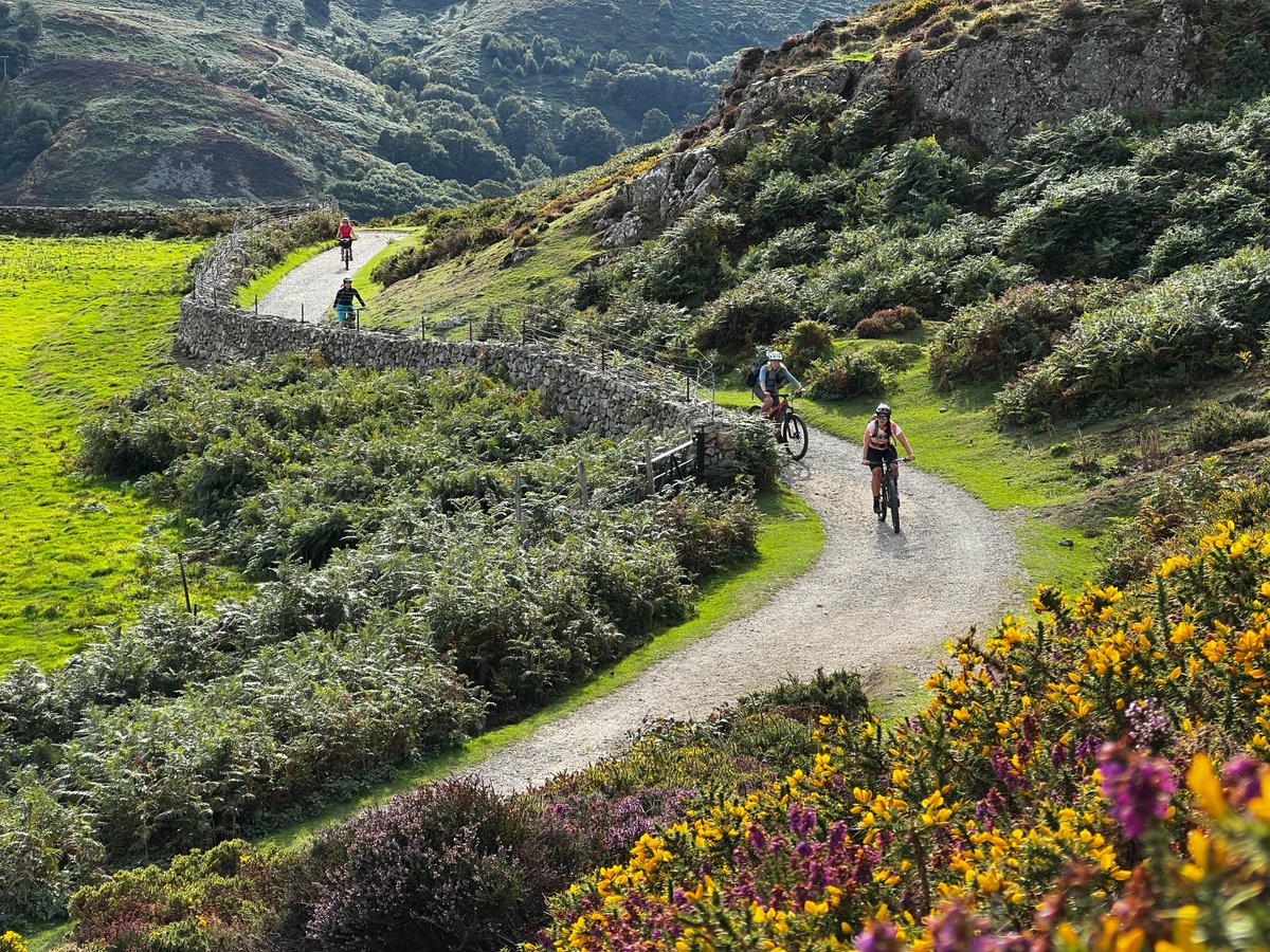 🌿 In 2025 and beyond, we're gearing up to unveil more thrilling routes, and we need your support to bring them to life. For every £1 you give before the end of May, the Gill Foundation will match, doubling the impact of your generosity: cyclinguk.org/long-distance-…