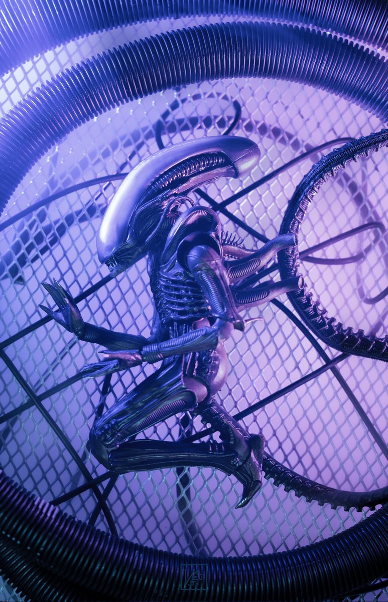 C'est le Alien Day ! Alors pour fêter nos amis les xenomorphes, avec 6 toy photographes, on s'est fait une petite collab 😉 @BadBoys_BadToys @kalhaaan @David_CERF_LBBJ Inari_toys Wookierevenge #ToyphotoFrenchForce #toyphotography #AlienDay2024 #AlienDay