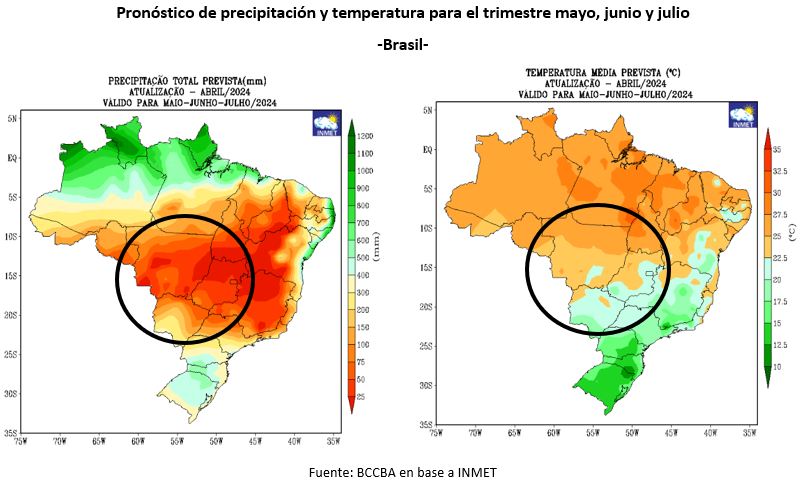 BCCBA's tweet photo. Por otra parte, el mercado de Maíz podría ofrecer mayor volatilidad de precios en el corto plazo, guiado por la influencia del mercado climático brasileño durante el desarrollo del maíz de segunda y los impactos que podría tener el spiroplasma en la producción de Argentina. https://t.co/87b8H3stnZ