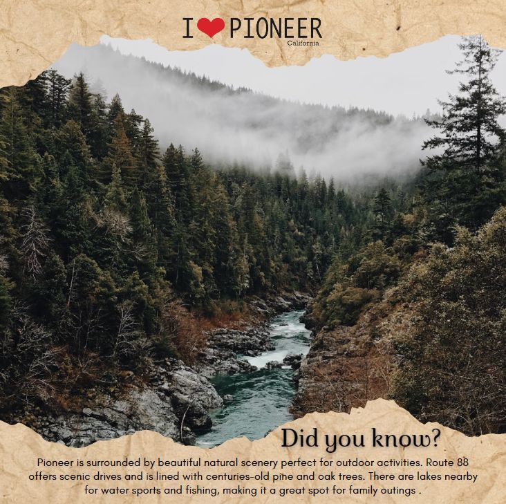 🍃 Pioneer's embrace of nature's artistry is evident in every corner. As you cruise along Highway 88, let your eyes wander over the timeless beauty of pine and oak trees that have witnessed centuries pass by. 
 
 #PioneerBeauty #ScenicDrives #FamilyOutdoors #ILovePioneer #funfact