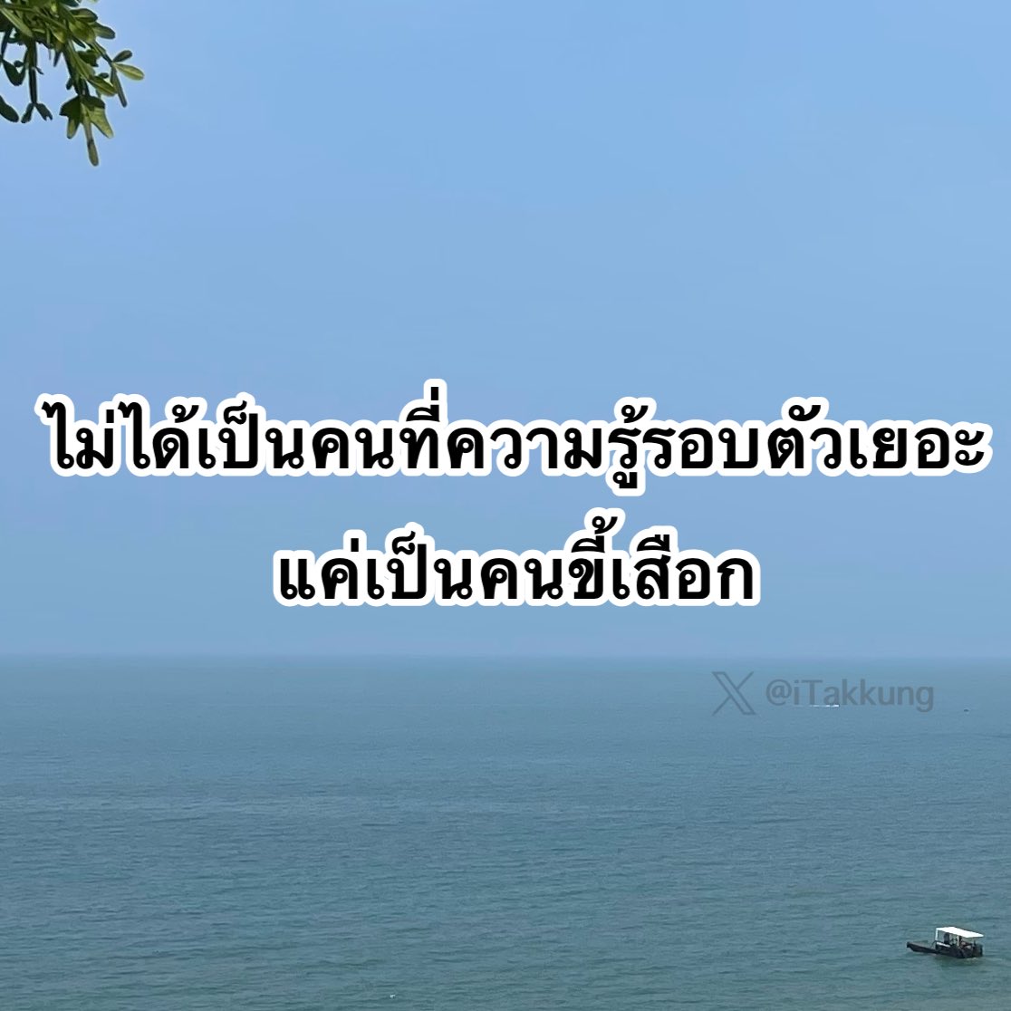 iTakkung's tweet photo. ความรู้เป็น 0 ความเสือก 100 😂 https://t.co/oGkPBQgD6W