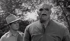 The Creature Walks Among Us was released on this date in 1956. 3rd installment of the Creature from the Black Lagoon series. Only one not shot in 3D. Campy fun!  #creaturefromtheblacklagoon #psyshostudios