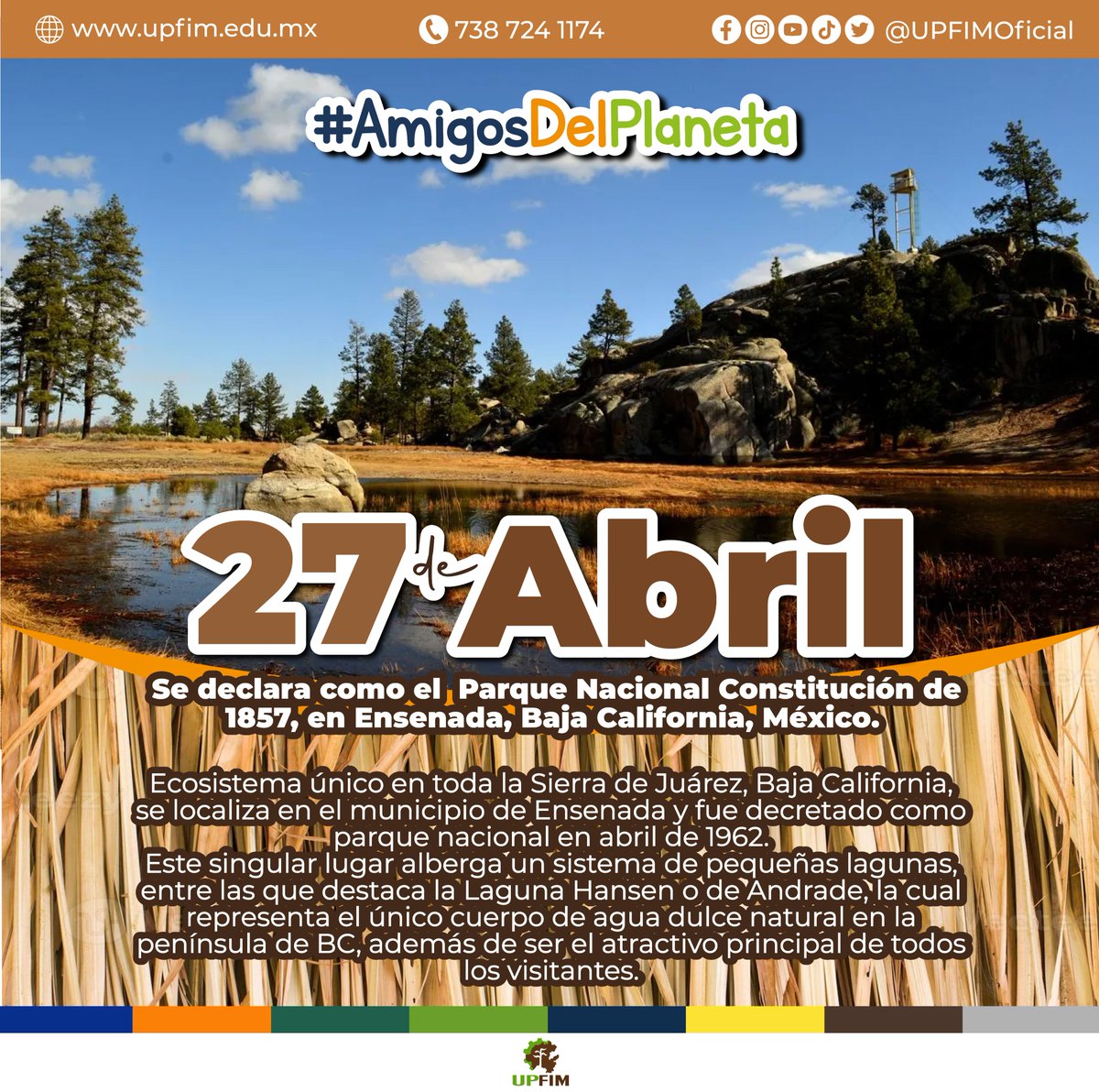 Ecosistema único en toda la Sierra de Juárez, Baja California, se localiza en el municipio de Ensenada y fue decretado como parque nacional en abril de 1962.

#AmigosDelPlaneta #NaturalmenteUPFIM
#Agenda2030 #QueNadieSeQuedeAtrás