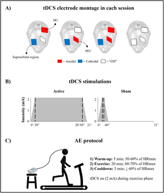 Aerobic exercise on the #treadmill combined with transcranial direct current stimulation on the gait of people with #Parkinson’s disease | @PLOS ONE @TheBrainDriver #tDCS #Alzheimer’s #Dementia
#neurology #aerobics
#BrainStimulation
journals.plos.org/plosone/articl…