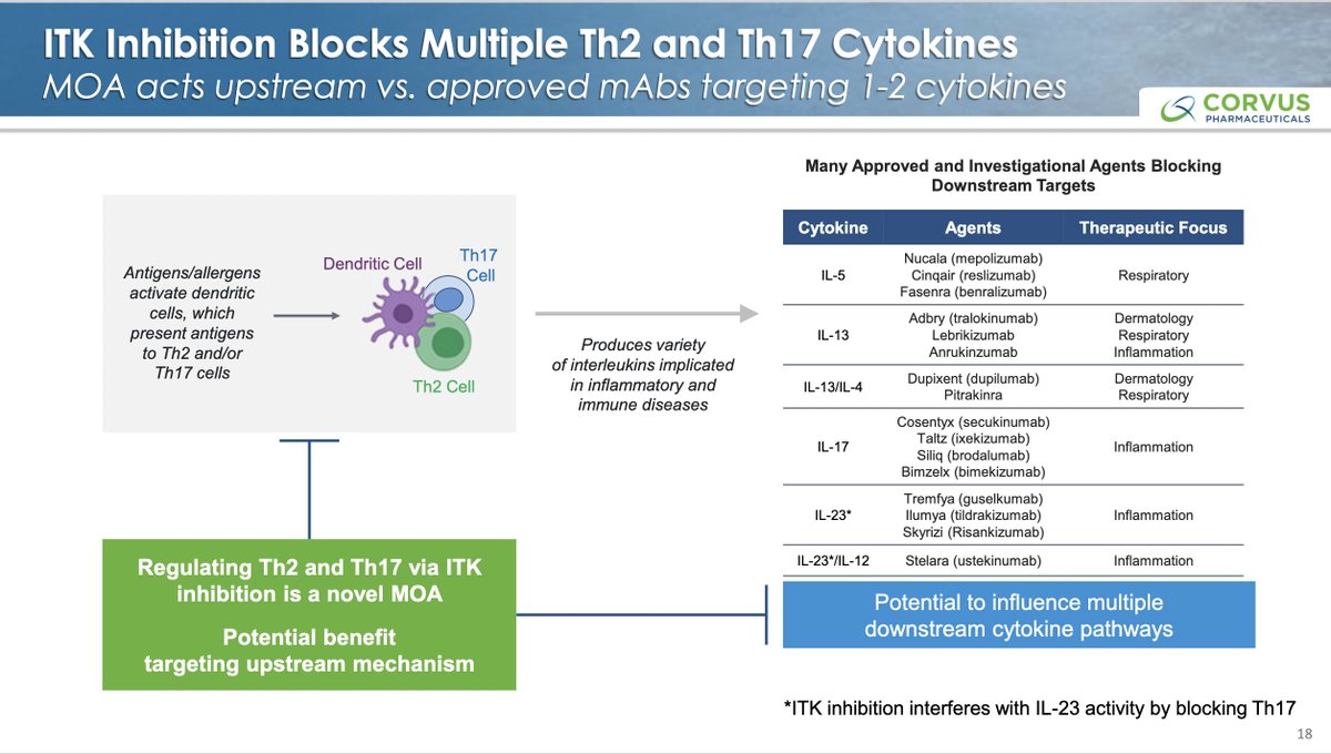 $CRVS oral ITK inhibitor #soquelitinib stops #ILC2, #Th2, #Th17 cells upstream and downstream cytokines (IL-4, IL-5, IL-9, IL-13, IL-22, IL-26, IL-31, IL-17A)

Novel MoA offers MANY advantages over approved monoclonal antibody (mAbs) drugs targeting only 1 or 2 cytokines.