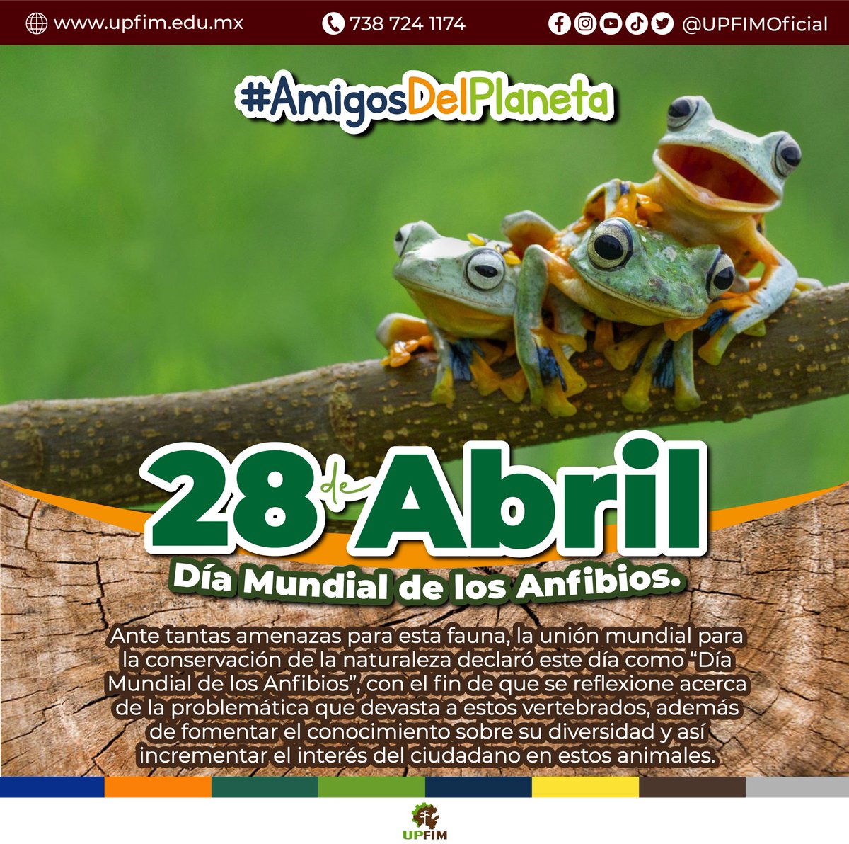 Ante tantas amenazas para esta fauna, la unión mundial para la conservación de la naturaleza declaró este día como “𝐃𝐢́𝐚 𝐌𝐮𝐧𝐝𝐢𝐚𝐥 𝐝𝐞 𝐥𝐨𝐬 𝐀𝐧𝐟𝐢𝐛𝐢𝐨𝐬”.

#AmigosDelPlaneta #NaturalmenteUPFIM
#Agenda2030 #QueNadieSeQuedeAtrás