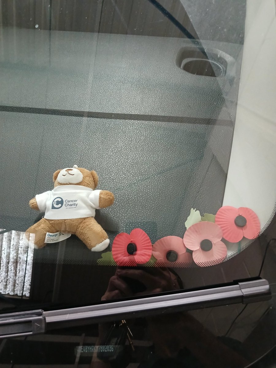 The poppies on the dash of my van are showing their age..

#lestweforget #wewillrememberthem #fuckcancer #cancersurvivor