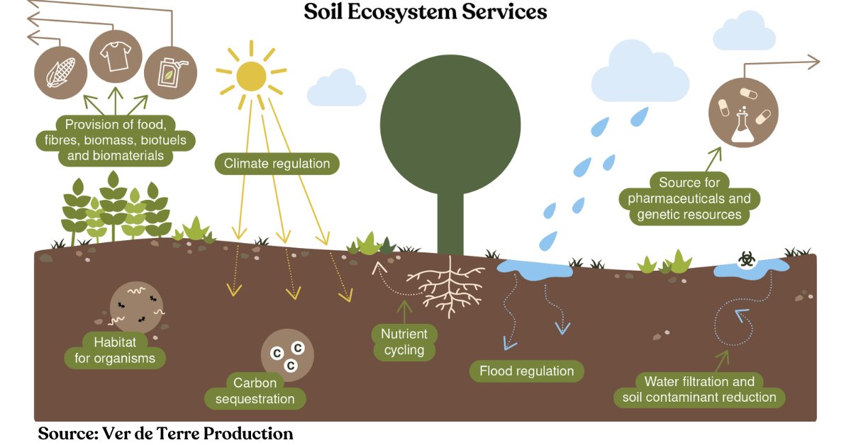 Truly incredible! Constant effort has brought a heavenly vision into reality! #SaveSoilForClimateAction #SaveSoilFixClimateChange #ConsciousPlanet #CauveryCalling