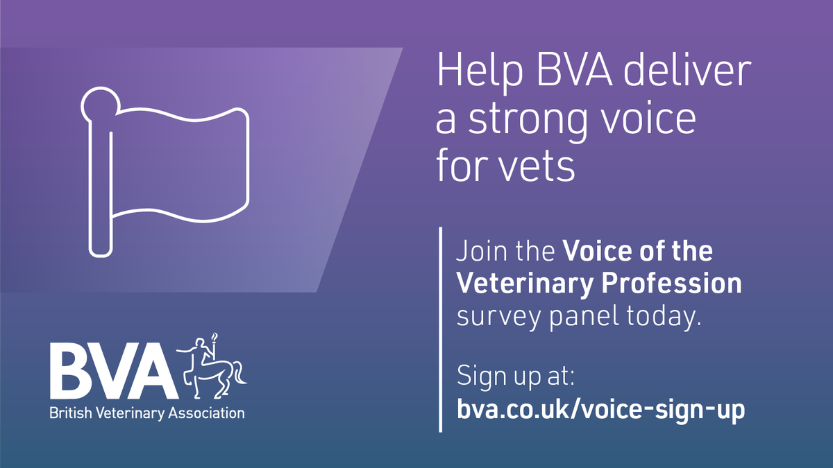 #TeamVet Have you completed the Spring 2024 #BVAVetVoice survey? If you're a member, complete the survey by 10am on Monday 29 April to share insights on pet diets, sustainability, neurodiversity, and more topical issues. Check your email inbox for the link. #WeAreBVA