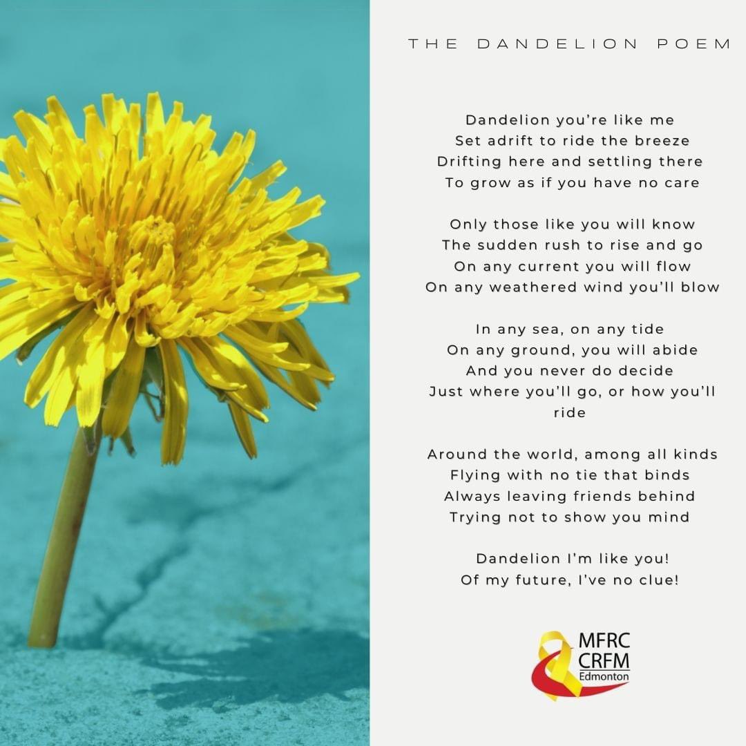 Much like the dandelion, military children bloom everywhere the wind carries them and they stand ready to fly into the breezes to take them into new adventures, new lands, and new friends. They are RESILENT! #Tealup #MilitaryChildren @BillBlair