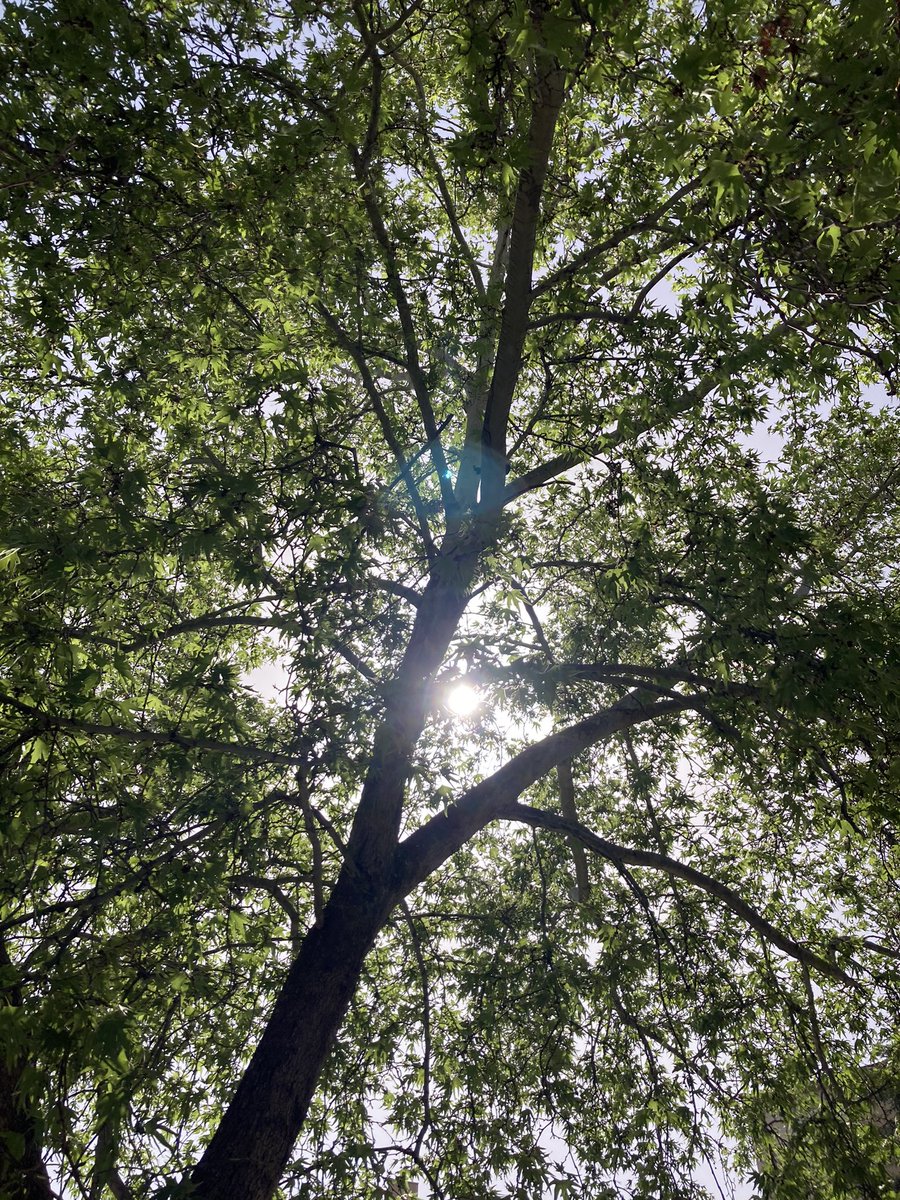 Akşama bir fotoğraf bıraktım.