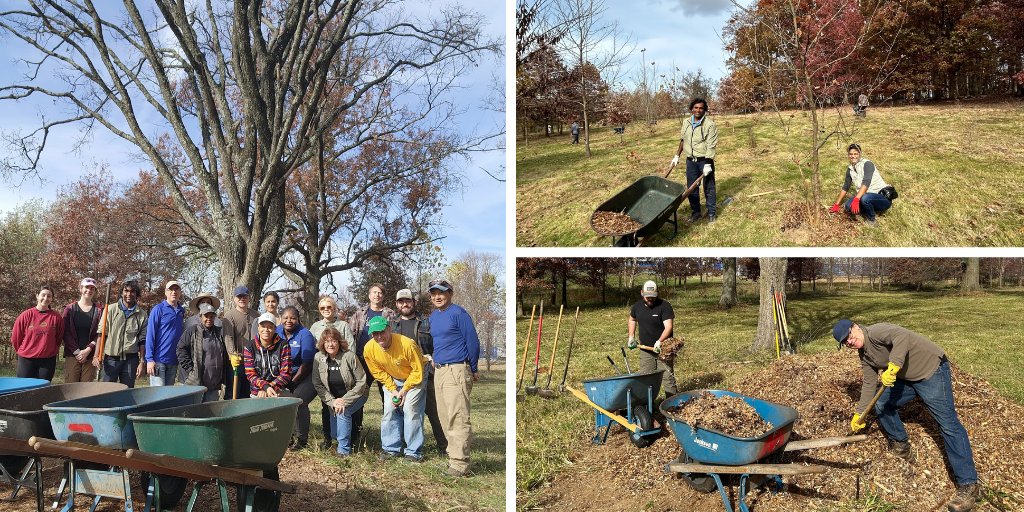 Happy #ArborDay!🌳Let's celebrate the beauty and importance of trees in our lives—they provide shade, clean our air, and offer wildlife habitats. COG officials aim for a 50% tree cover to reverse current trends & meet our broader climate goals. bit.ly/3VVJLHU