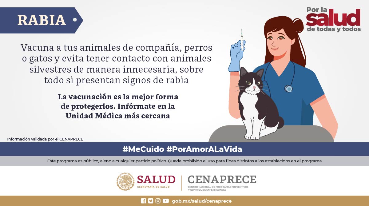 Infórmate sobre la #Rabia 🐾 Vacunar a tu mascota es un acto de amor y responsabilidad 💉🐈🐕 Infórmate en la Unidad Médica más cercana 🏥 Más información en ➡ bit.ly/3T1Ryj2 #MeCuido #PorAmorALaVida