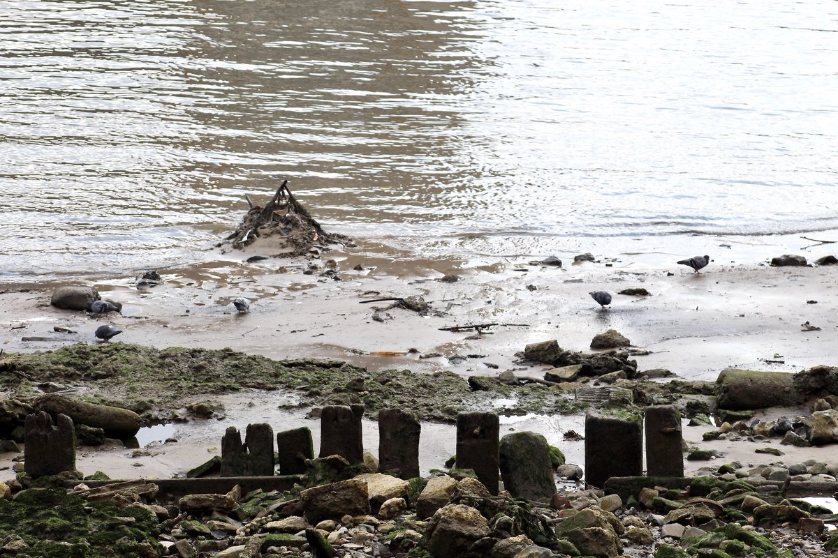Lambeth Reach foreshore at around low tide this morning.