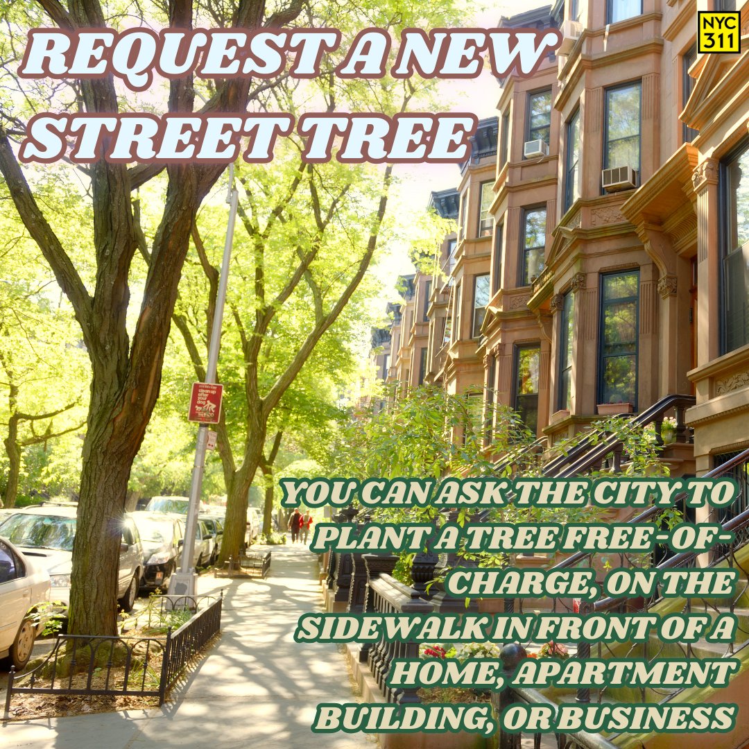 Happy #ArborDay! You can ask the Department of Parks and Recreation (DPR) to plant a tree, free of charge, on the sidewalk in front of a home, apartment building, or business. 🌳 Learn more about street tree planting and request a new tree by visiting on.nyc.gov/TreePlanting.