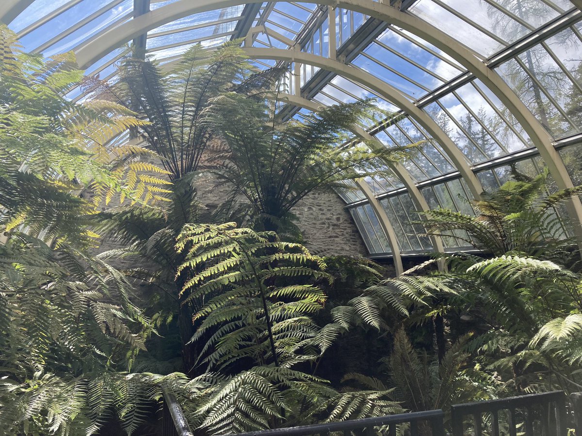 Great day down at <a href="/BenmoreBotGdn/">Benmore Botanic Garden</a> and thanks to Curator Peter Baxter and staff for demonstrating techniques and skills used in preserving the Red Wood Avenue. Plant collection looked stunning on a bright April morning