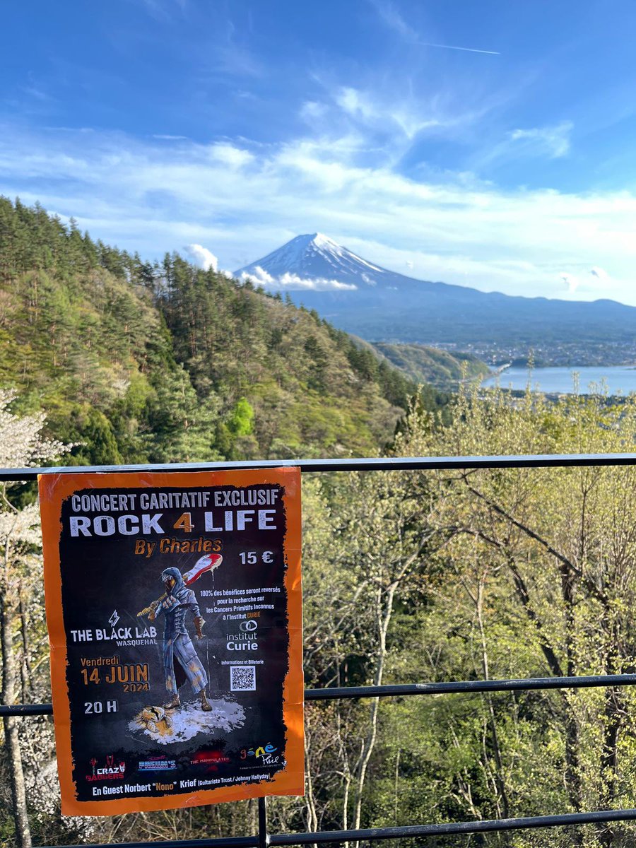 charlesdelobel's tweet photo. Incroyable! L'affiche du concert #Rock4life est arrivée jusqu'au Japon, dans le métro de Tokyo, au pied du mont Fuji . Nous allons devoir jouer là-bas (-: 🎸🇯🇵 https://t.co/Qz7yOtsXbS