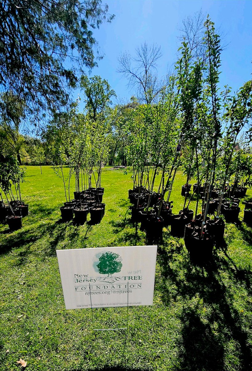 Happy #ArborDay from Camden! We are thrilled to be part of today’s celebration of urban and community forestry in New Jersey! #FundingUrbanForestry #IRA @NewJerseyDEP @ForestService