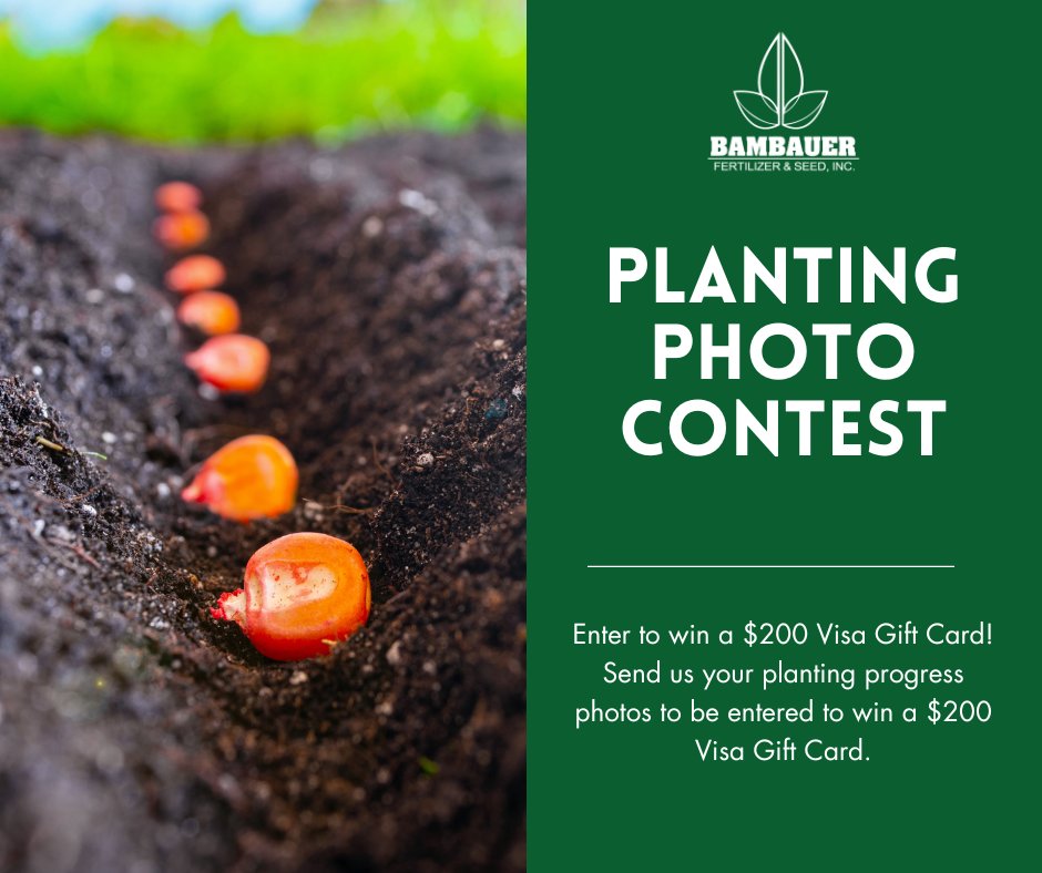 Bambauer Fert & Seed tweet media