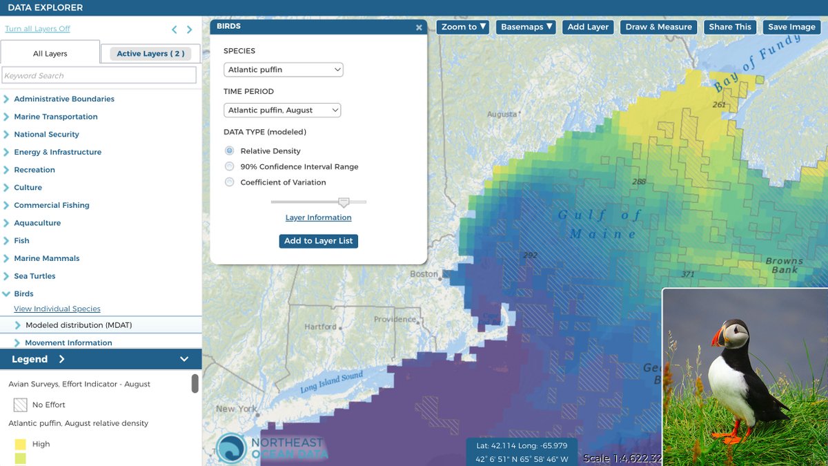 We've released a major update to bird distribution model data products - single species &amp; species groups - thru collaboration with Marine-life Data &amp; Analysis Team (MDAT). Data products developed by @noaacoastalsciNCCOS <a href="/BOEM/">Bureau of Ocean Energy Management</a> &amp; other research institutions. northeastoceandata.org/updated-marine…