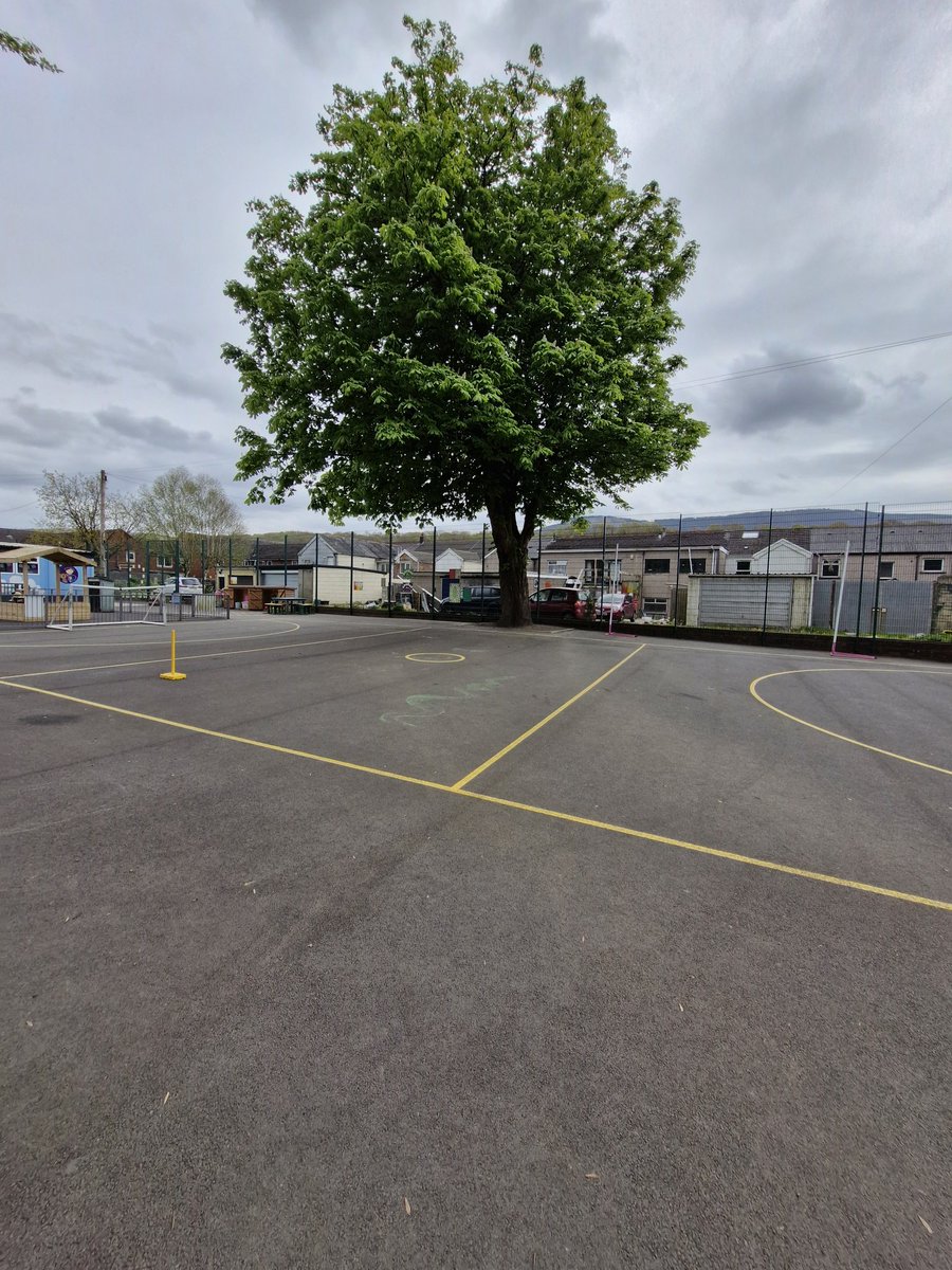 An explosive afternoon of 🏏 with Years 3, 4,5 and 6 @yggcwmnedd as the super striking went ballistic 🚀🚀 great commitment from all the students 👏👏🏏🏴󠁧󠁢󠁷󠁬󠁳󠁿  best tree 🌳 of the week also (Conker) @Chance2Shine @CricketWales @allstarscricket @DynamosCricket @LlandarcyCC 👏👍🏏🏴󠁧󠁢󠁷󠁬󠁳󠁿👤