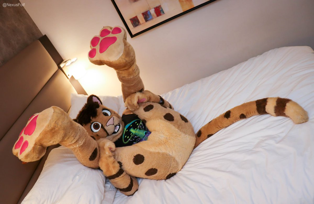It's #FursuitFriday, the sun is shining, and I am feeling SILLY 

Playtime for chees? :3