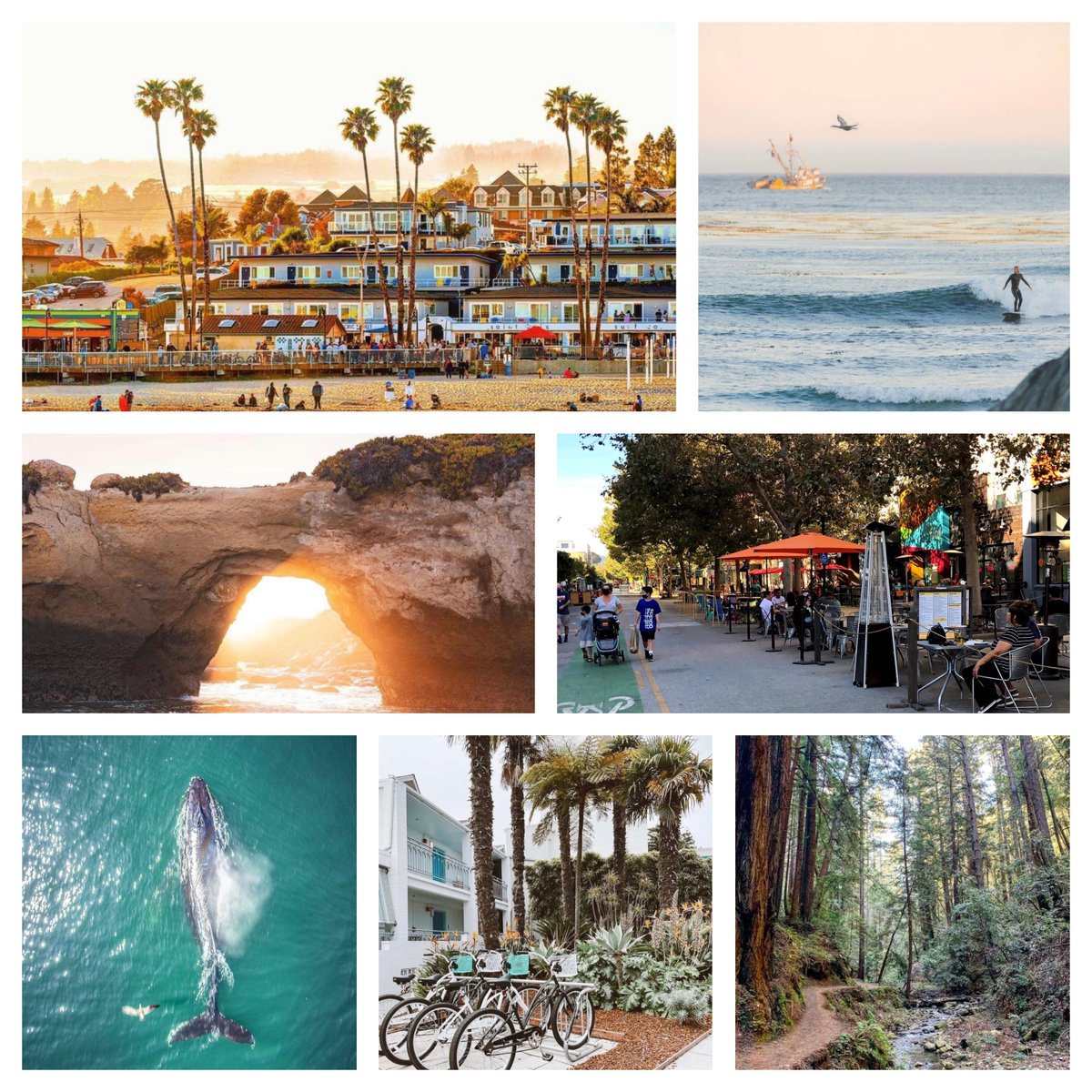 Much urban & natural beauty in Santa Cruz. Love that they chose to keep many parklets (street dining areas) put up earlier in the pandemic, unlike neighbouring Monterey Bay area towns (including Carmel🙁) that stupidly got rid of theirs. Better than streets lined with ugly SUVs