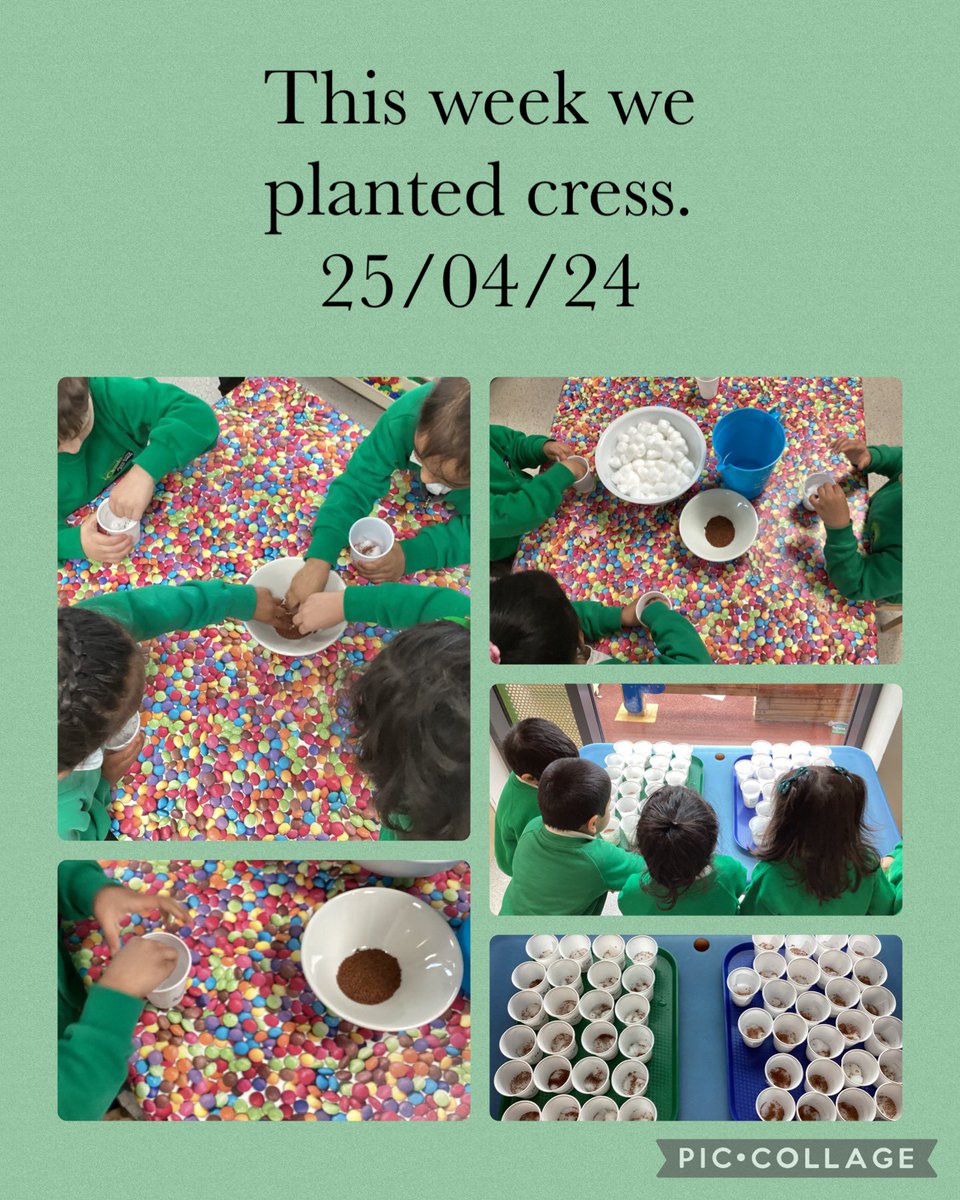 Team Nursery have had an amazing week planting cress and learning all about what plants need to grow! Wonder what they will do with the cress? 🤔 #ProudtobeOADV