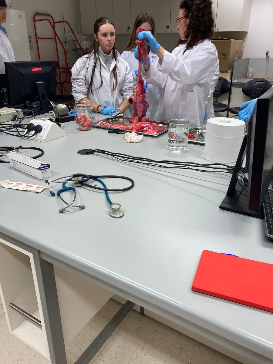 APC Microbiome Ireland (@pharmabiotic) on Twitter photo And that's a wrap for our Budding Biologists Week 2024. Images of a great workshop with our colleagues in @uccphysiology yesterday. 16 Transition Year Students with great potential for a future in research
@scienceirel <a href="/UCCResearch/">UCC Research</a> And that's a wrap for our Budding Biologists Week 2024. Images of a great workshop with our colleagues in @uccphysiology yesterday. 16 Transition Year Students with great potential for a future in research
@scienceirel <a href="/UCCResearch/">UCC Research</a>