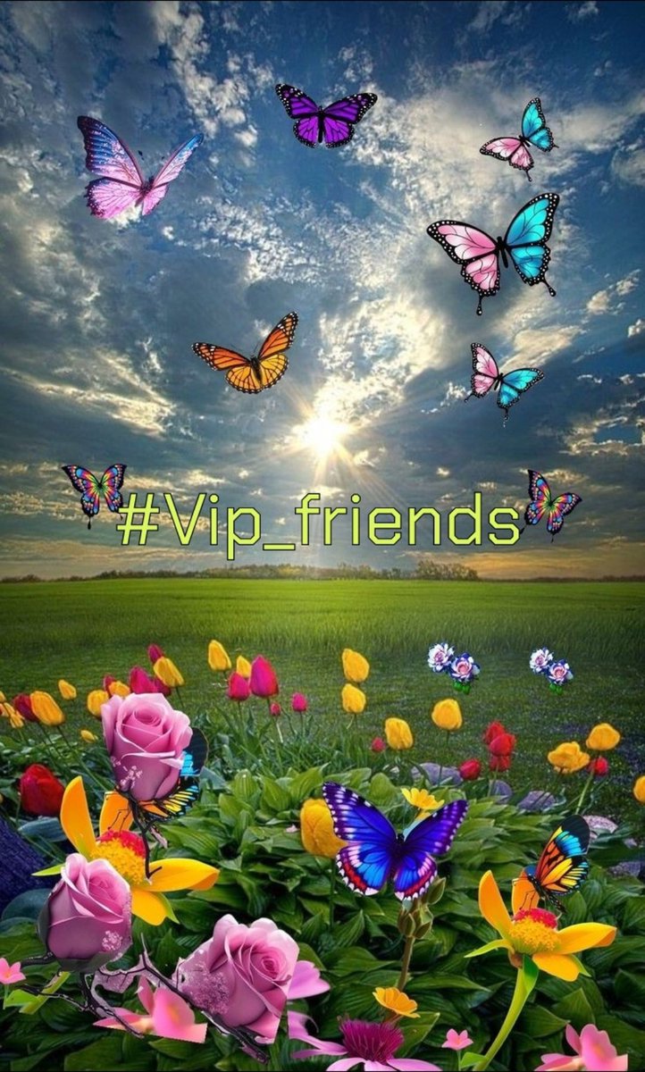 #VIP_FRIENDS 

@ALESXIA_ANK @_ALESXIA
@MARTHA_CAN2 

  @Bn_gsh2 @Madi_h8
@Lu_v_u2 @VIO_LET9
@tripletsfan19  @SHS_1981
@Efamy_ @DyelQueM
 @As_t40 @x4Eileen
@Ahmedjul @NEENAH678
@DALIHAH_ @Ruth_111_
@LauraMi25356713
@Essamm900088
@GRAHAM15583070
@nuvisionquestt3
@ALANA_T7 @B_ELLE3