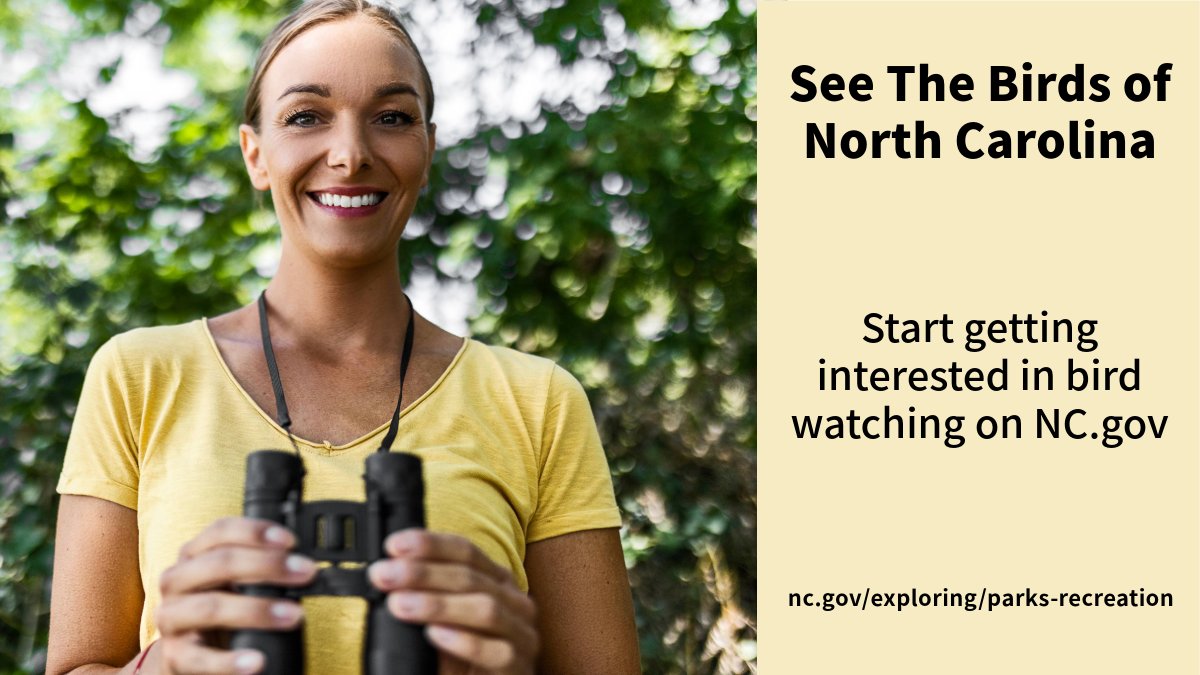 Have you ever caught a glimpse of an American Goldfinch or Carolina Chickadee? Learn more about bird watching and other wildlife activities by visiting nc.gov/exploring/park…
#AudubonDay #BirdWatching