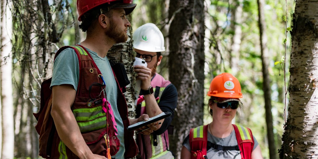 Our Land Reclamation Certificate has a new date! Join us in Prince George the last week of May for a mix of classroom & field training on subjects such as foundational ecological concepts. Register by May 17. #UNBC #NaturalResources #ContinuingStudies ow.ly/JsCP50RkgJn