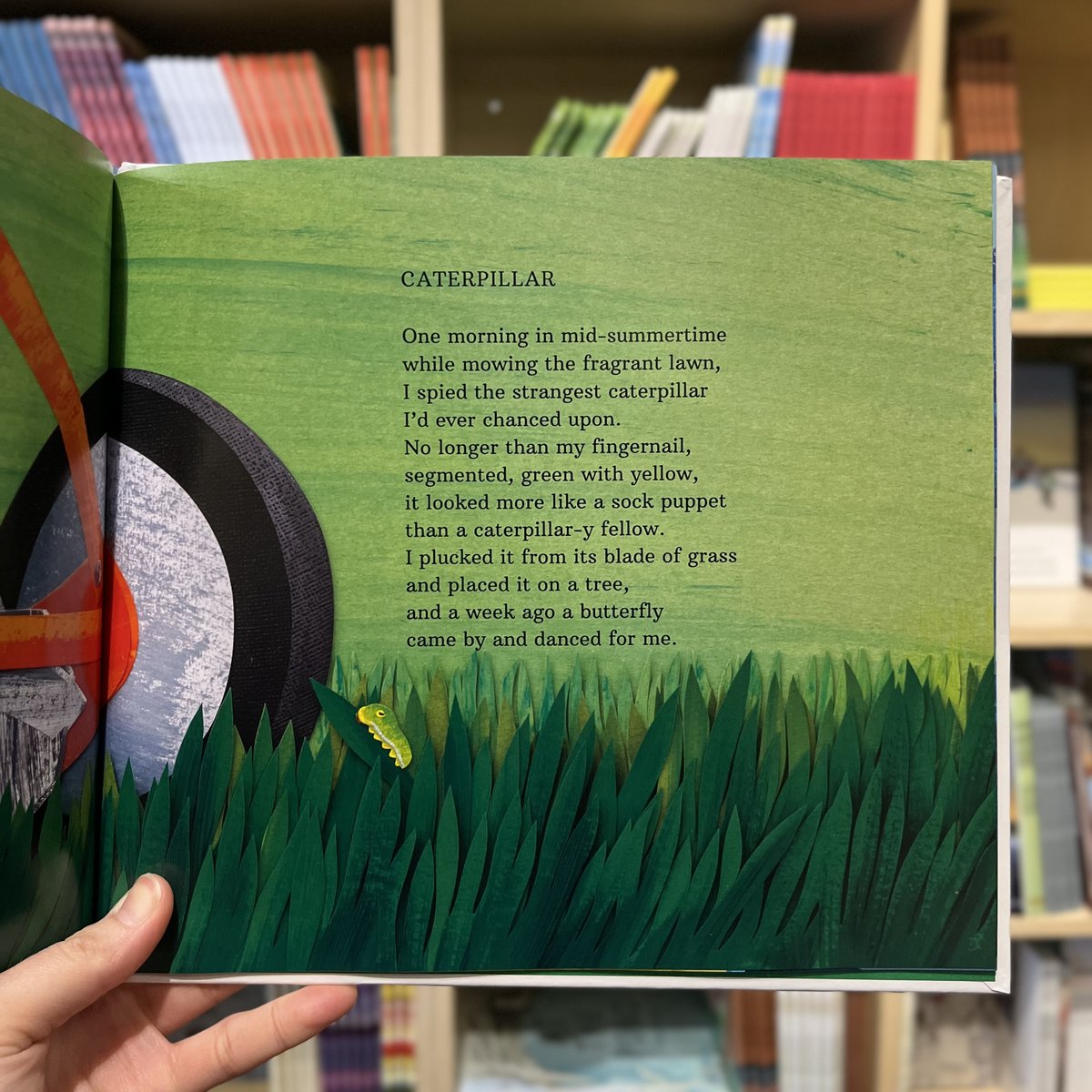 To close out our #PoetryFriday series for #PoetryMonth, we're sharing a little poem from THIS IS A TINY FRAGILE SNAKE by @NicholasRuddock and illustrated by Ashley Barron. 🐍 You can catch Nicholas Ruddock at Poetry Bash on May 2nd! Register here: ow.ly/729H50RjUTv