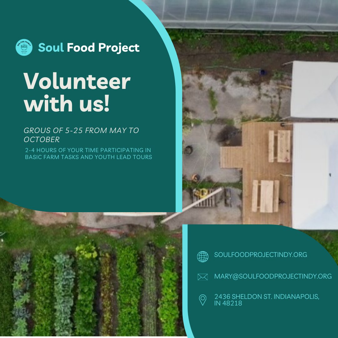 Soul Food Project relies on volunteer groups for assistance in maintaining our urban farms. We welcome groups between 5 and 25 in May through October. Workgroups join us on the farm site for 2-4 hours on Saturdays (8 AM- 4 PM); weekdays may vary.
 #UrbanFarming #VolunteerWork
