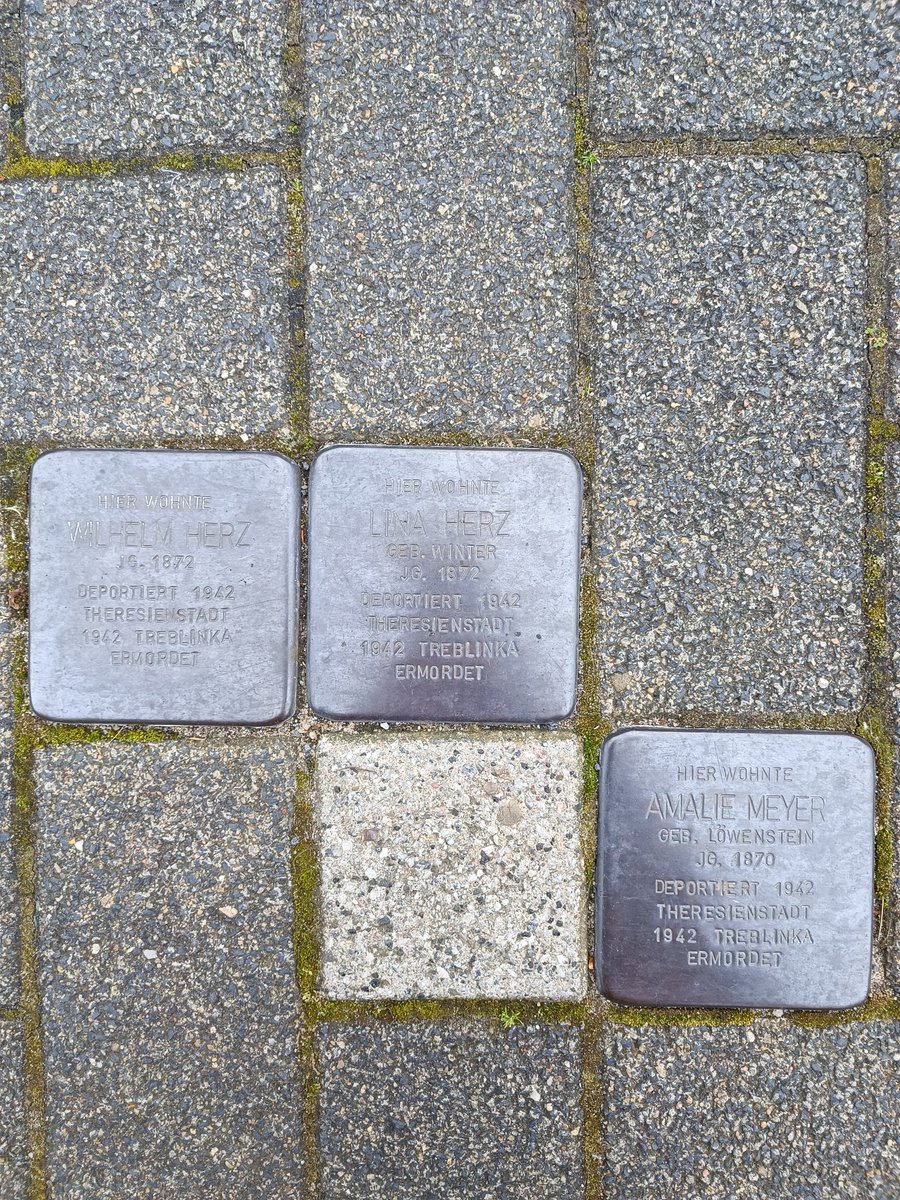 Der Dino war heute im Büro und konnte daher einen Stolperstein in einer anderen Gegend besuchen.

Wir haben hier die Eheleute (?) Herz und Frau Amalie Meyer. Sie konnten leider nicht fliehen und sind 1942 ermordet worden.

#NieWiederIstJetzt 
#AmYisraelChai 
🏴󠁧󠁢󠁥󠁮󠁧󠁿🔽