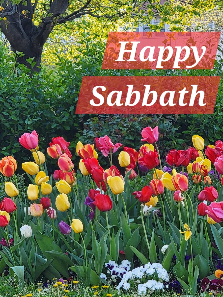 FWPCenter's tweet image. It's a beautiful day here in White Plains, NY.  We  are looking forward to that rest that the Sabbath brings. @cityofwp
#sda #whiteplains #happyfriday
#happysabbath #fwpcenter