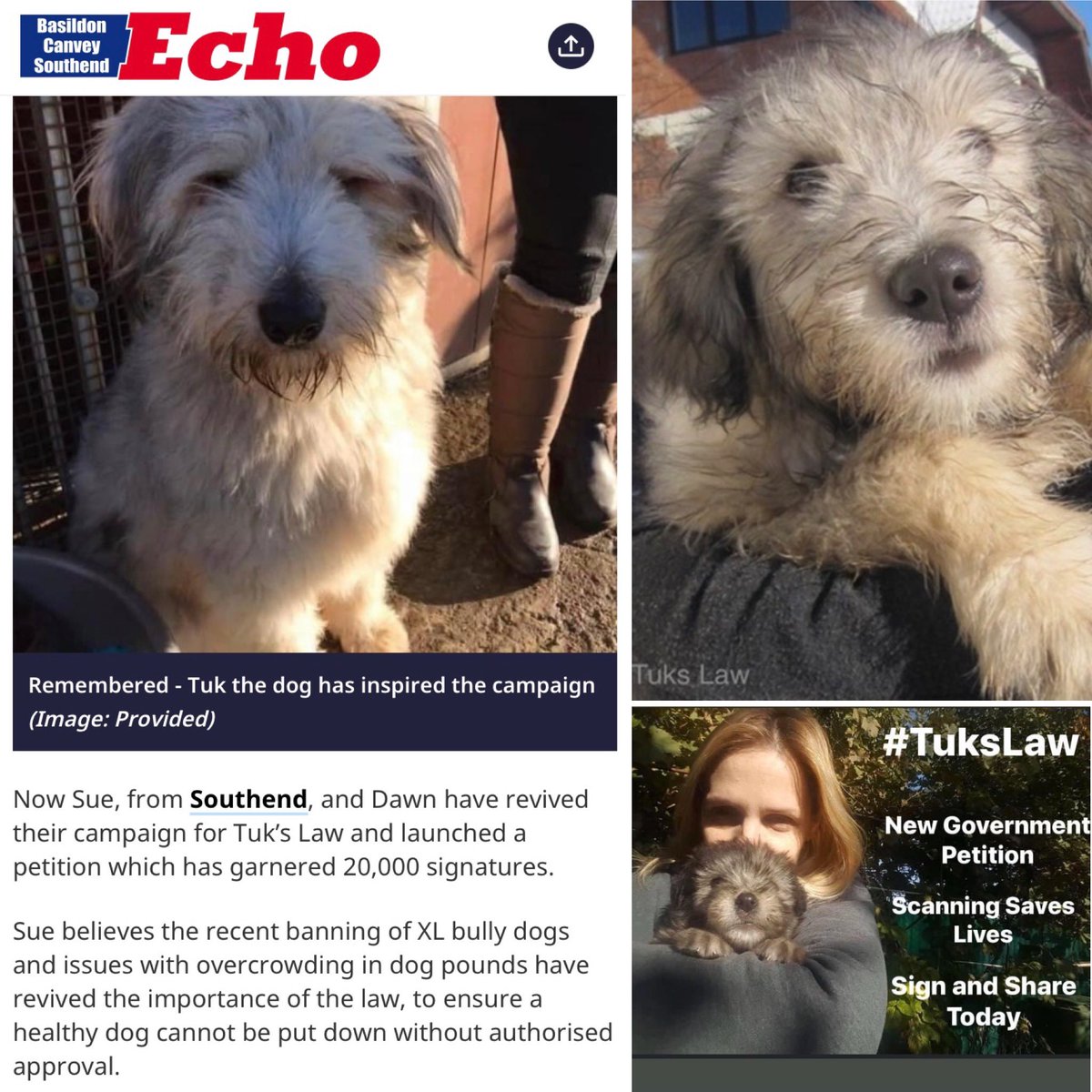 We are hugely grateful to the @Essex_Echo for continuing to support our campaign and help us get to Westminster

echo-news.co.uk/news/24278418.…

Petition Link

petition.parliament.uk/petitions/6581…

2 people can sign from 1 email address so please ask a family member to sign as well
@RebeccaHarrisMP