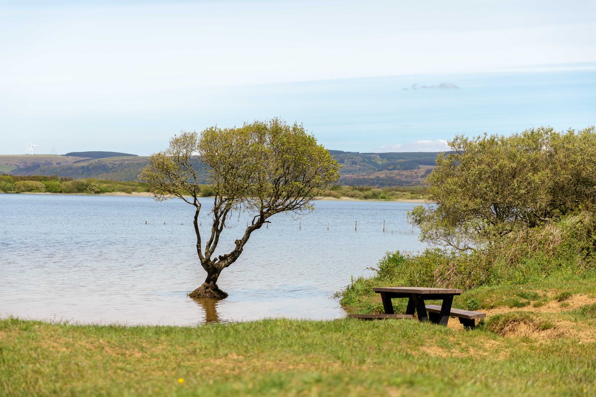 From Iron Age hill forts to a road even the Romans considered to be ancient, discover Bridgend County’s rich history this summer with a series of guided walks. They're already starting to sell out, so book while you can: grahamloveluckedwards.com/index-of-glamo… @Gle4R #historywalk #folklore