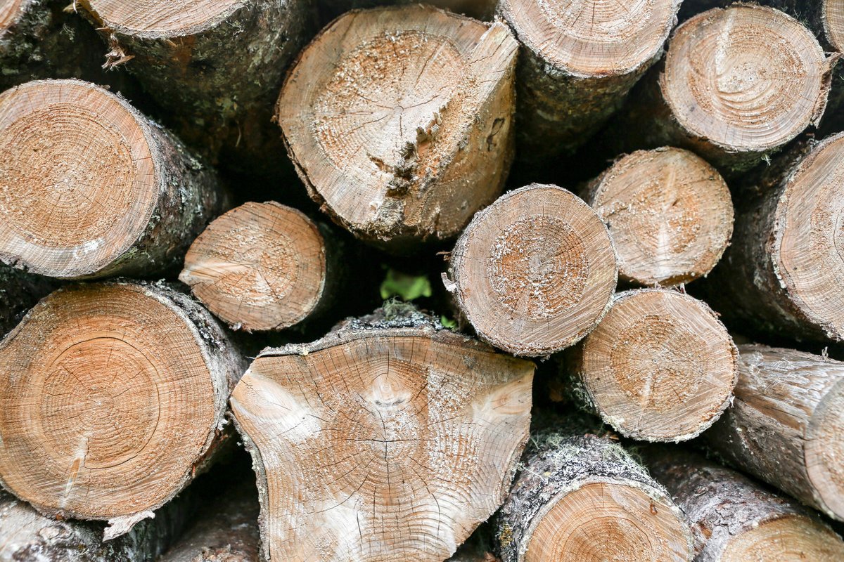 Nova Scotia and Finland signed an action plan today to strengthen their collaboration on sustainable forestry initiatives, with a focus on turning low-grade wood and residuals into new products and markets to advance their bioeconomies. Learn more at: mmm.fi/en/-/finland-a…