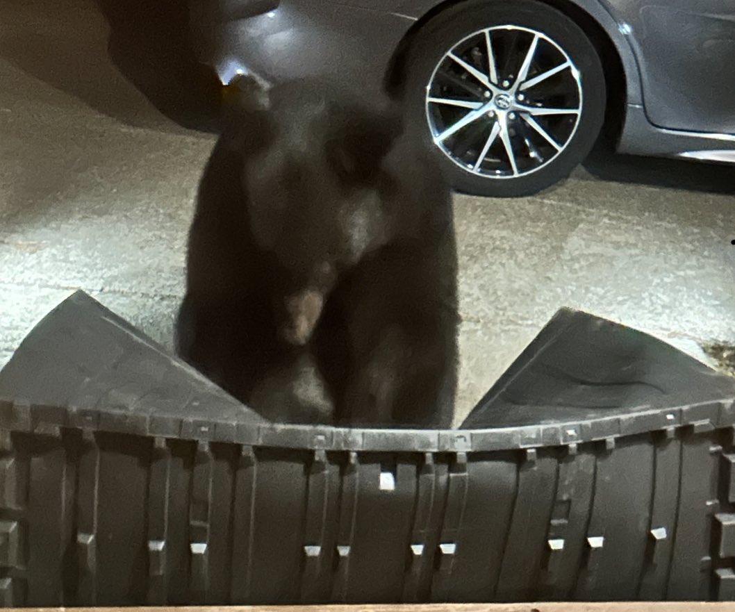 LordRestock's tweet image. MY KETER BOX 😭😭😭😭