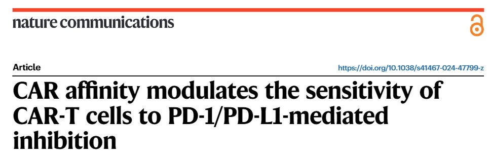 Article led by Sonia Guedan´s Lab @GuedanS @idibaps is out @NatureComms! Very happy to be part of this story! Our results reveal an increased sensitivity of CAR-T targeting HER2 breast cancer cells to PD-L1-mediated inhibition link: nature.com/articles/s4146… @hospitalclinic…