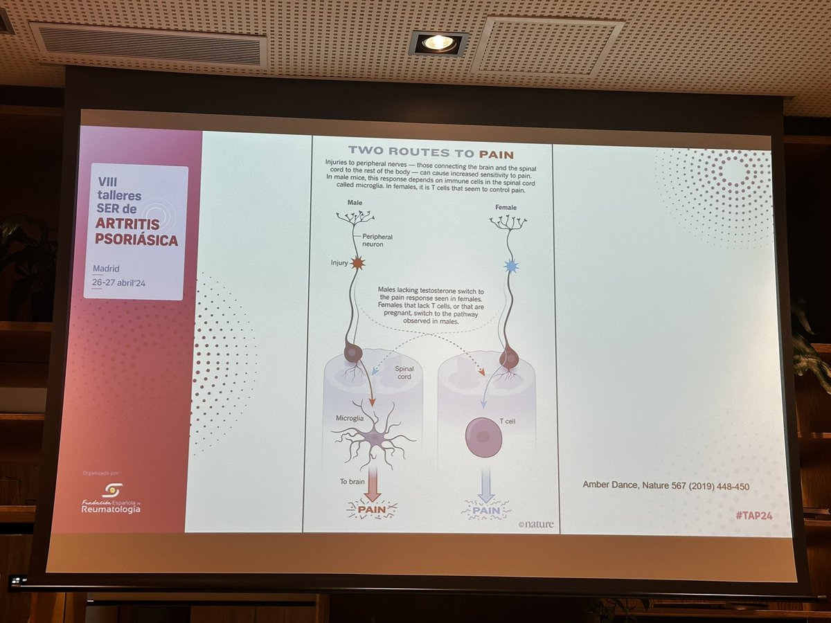 mariaj_morenom's tweet photo. Las vías del dolor son distintas entre hombres y mujeres. Existe una justificación para la interpretación distinta del dolor entre ambos sexos #APS24 #TAP24 @SMurcianaReuma @SEReumatologia https://t.co/LQNTTbuItS