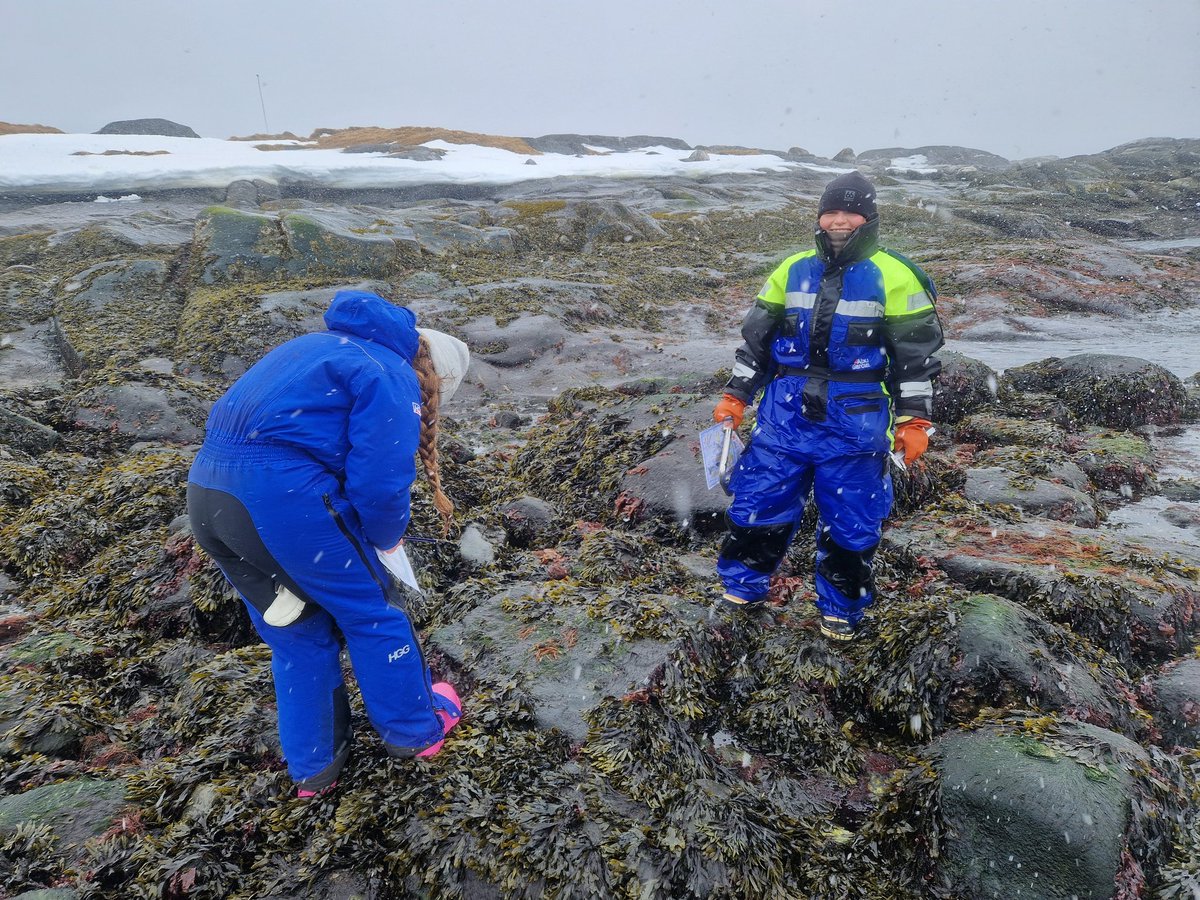 End of the #benthic week for our #assp #master #field course here @GCRC_GINR with @AarhusUni_int Despite the weather many #barnacles and #algae #species were counted and sometimes we even had some sunshine. It's been super #fun. #rockyshore #greenland #arctic #polar #ecology