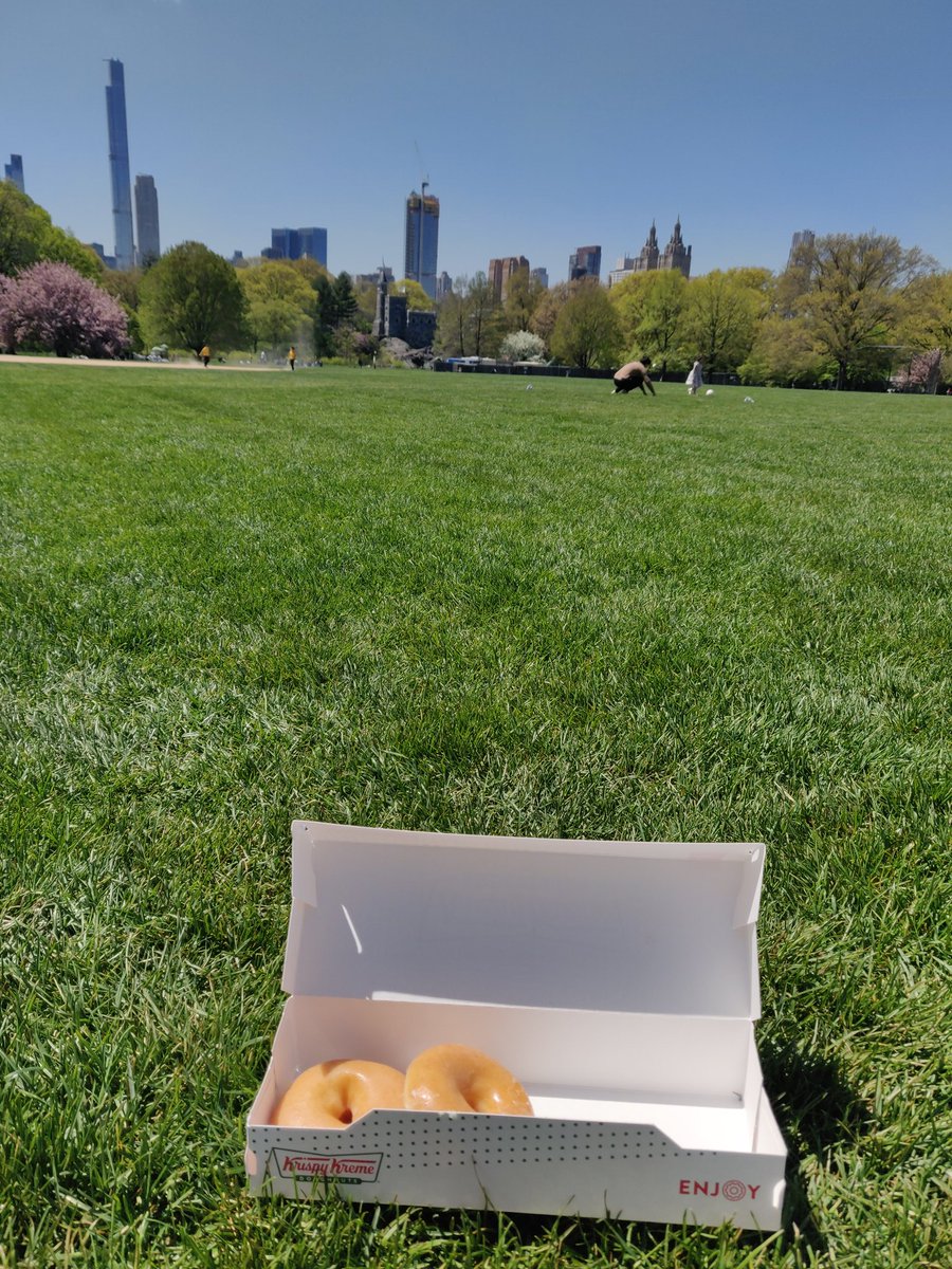 Dryu90's tweet image. Sto mangiando ciambelle a Central Park. È forse questo il paradiso?