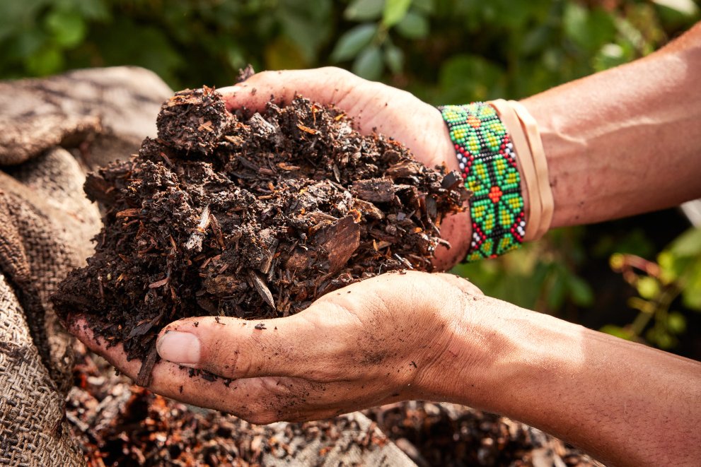 Composting helps reduce food waste (by decomposing your scraps), puts nutrients back into the soil and saves cash by not having to buy commercial compost. Follow the steps in our guide here to get started in your own backyard. tnhomeandfarm.com/home-garden/ga… 📸: Nathaniel Smith