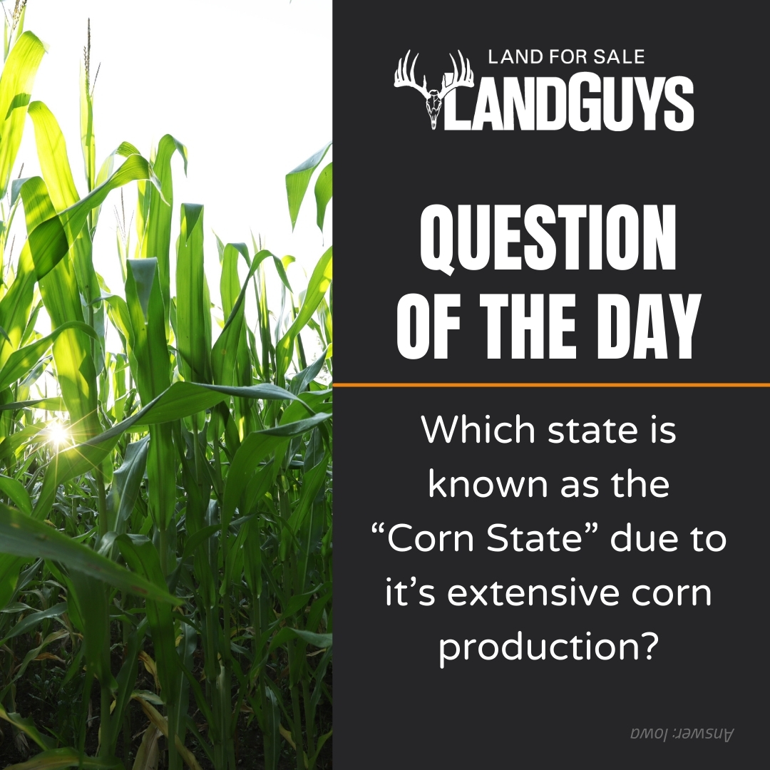 Question of the day: Which state is known as the 'Corn State' due to its extensive corn production?🌽 🤔 Comment below! #LandGuys #LandForSale #Questionoftheday #Commentbelow
