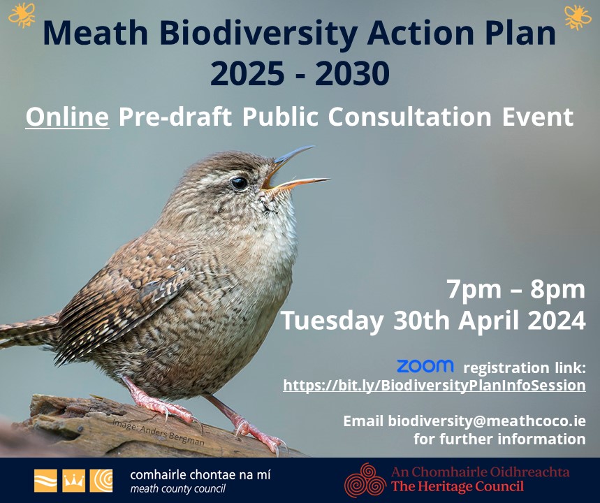 #HaveYourSay on Meath's new Biodiversity Action Plan!🐞🦆💧🐝🌿 Join me for online for an information session from 7pm – 8pm on Tuesday 30 April. To register for the event, visit: bit.ly/BiodiversityPl… #BiodiversityMeath #ActionForBiodiversity #GetInvolved