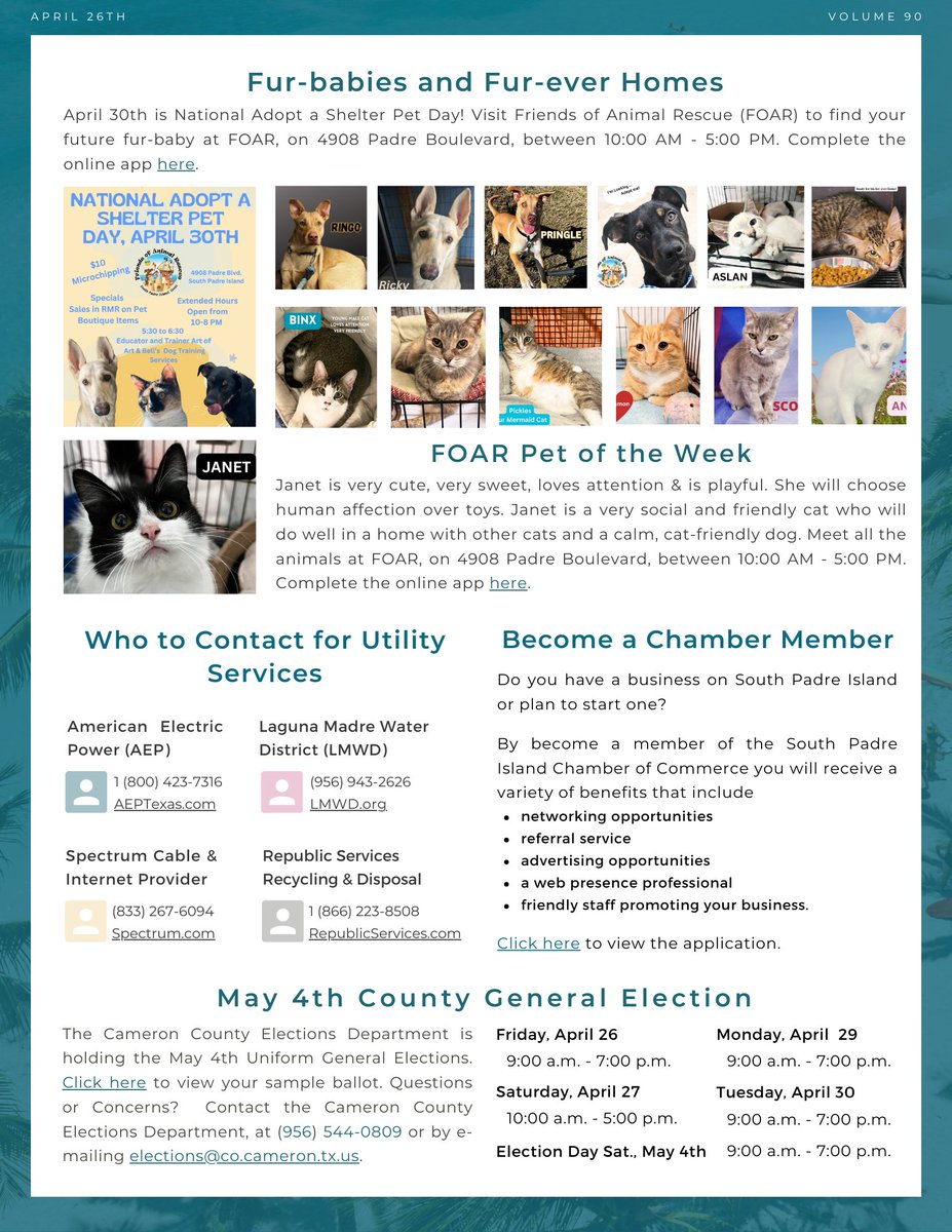 myspi.org/egov/documents… Click the link above to access this week's Island Vibes Newsletter! Read about Pet of the Week, Arbor Day, and more on this week's Island Vibes! Island Vibes is the official electronic newsletter for the City of South Padre Island.