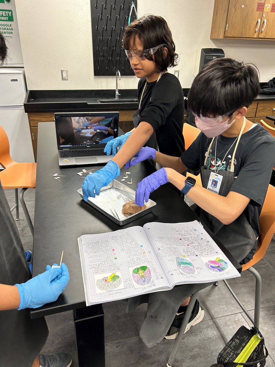 Jerry Knight STEM Academy tweet media